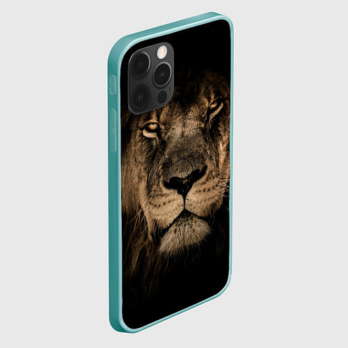 Чехлы iPhone 12 Pro Max со львами