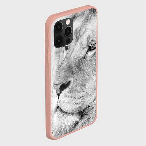 Чехлы iPhone 12 Pro со львами