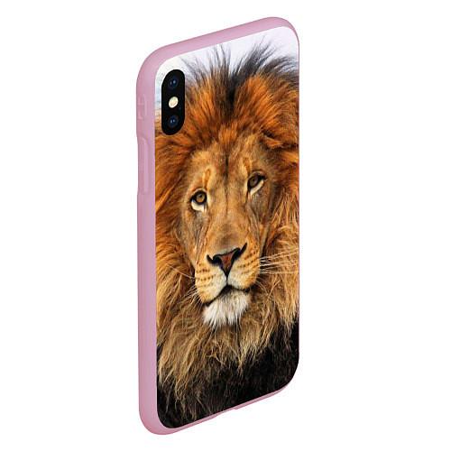 Чехлы для iPhone XS Max со львами