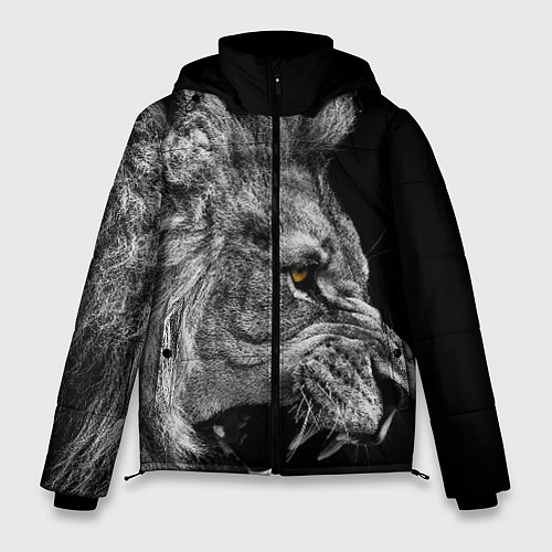 Куртки с капюшоном со львами