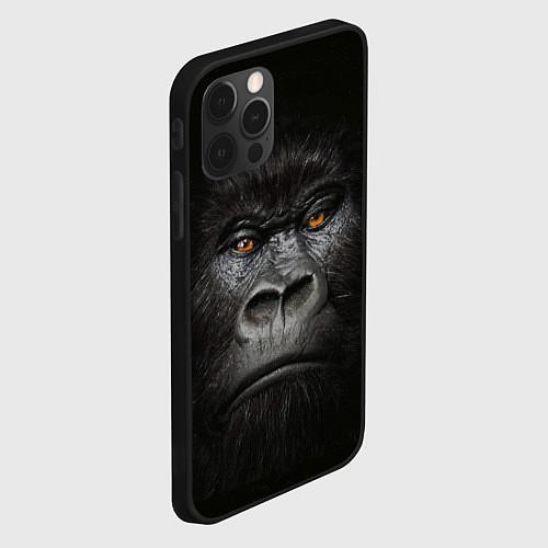 Чехлы iPhone 12 series с обезьянами