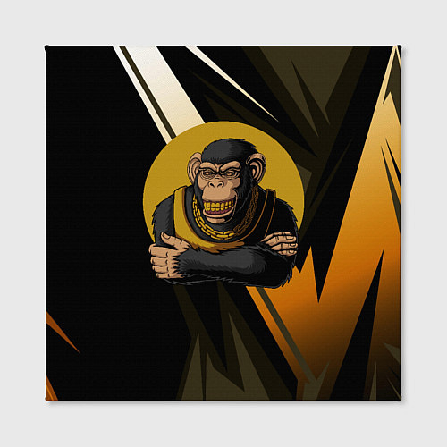 Холсты на стену с обезьянами