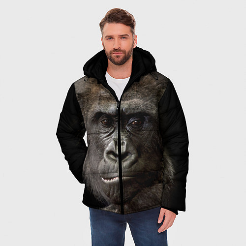 Мужские Куртки с обезьянами