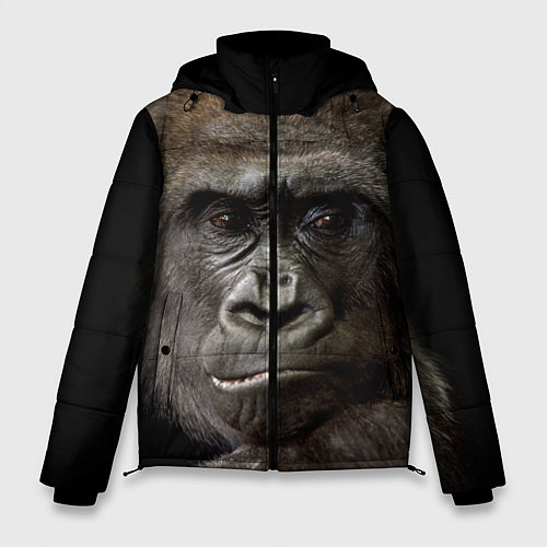 Куртки с капюшоном с обезьянами