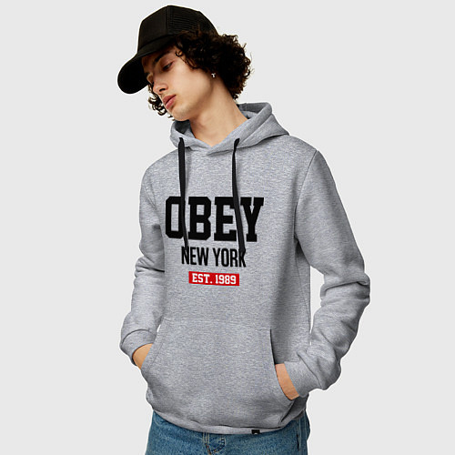 Толстовки-худи Obey