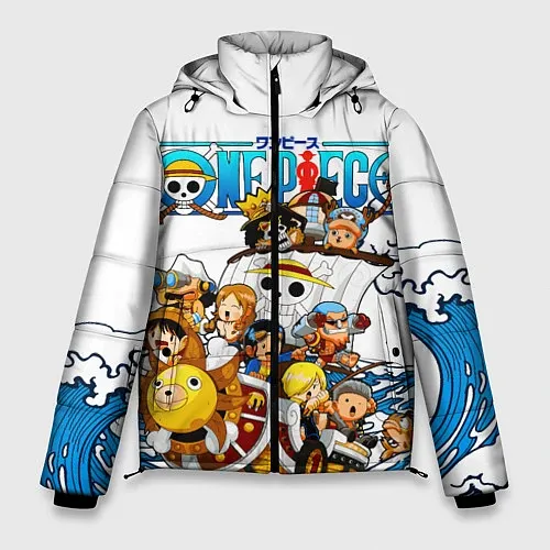 Мужские зимние куртки One Piece