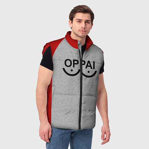 Жилеты Ванпанчмен