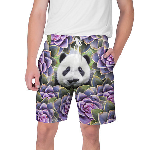 Мужские шорты с пандами