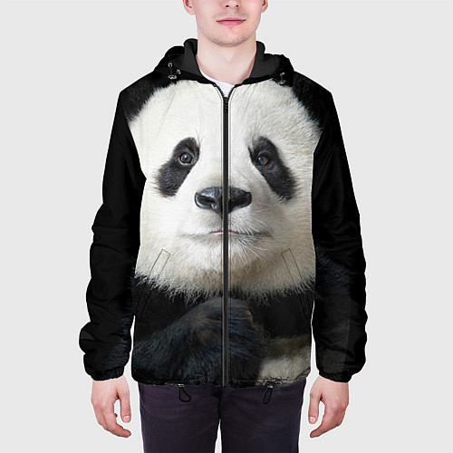 Демисезонные куртки с пандами