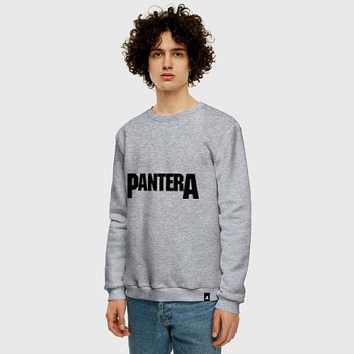 Мужские свитшоты Pantera