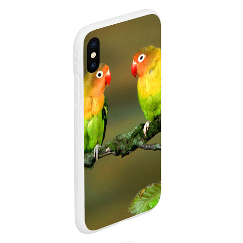 Чехлы для iPhone XS Max с попугаями