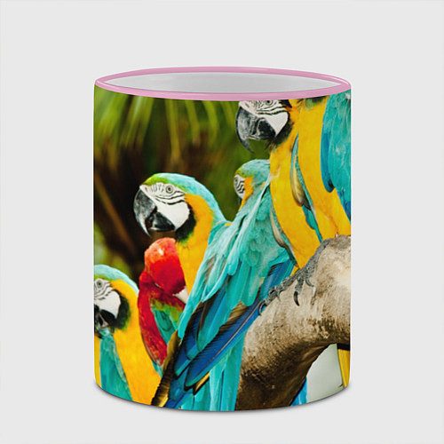 Кружки цветные с попугаями