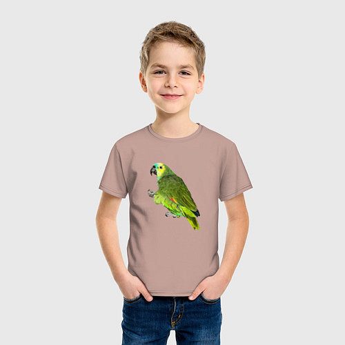 Детские хлопковые футболки с попугаями