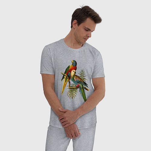 Мужские пижамы с попугаями