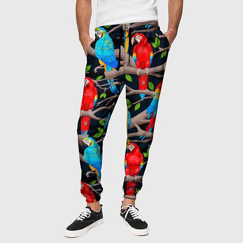 Мужские брюки с попугаями