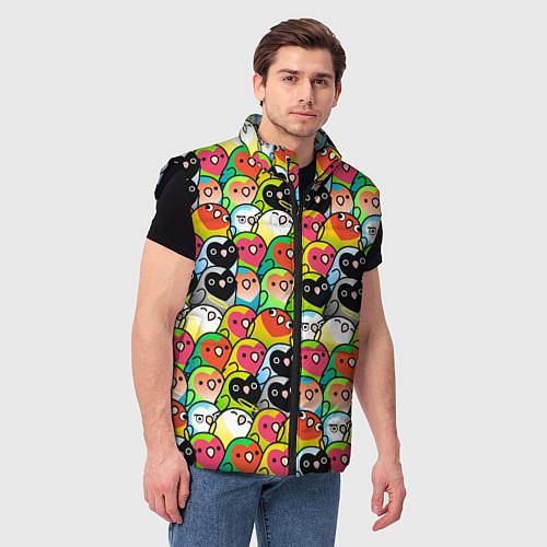 Мужские жилетки с попугаями