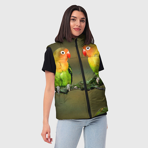 Женские жилетки с попугаями