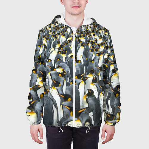 Мужские куртки с капюшоном с пингвинами