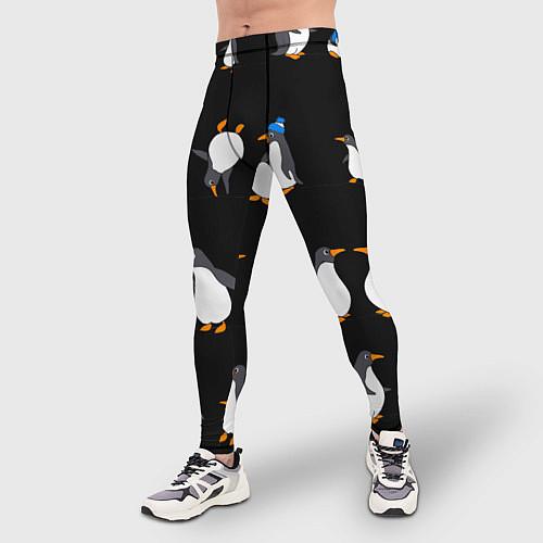 Мужские тайтсы-леггинсы с пингвинами