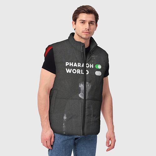 Мужские жилетки ФАРАОН