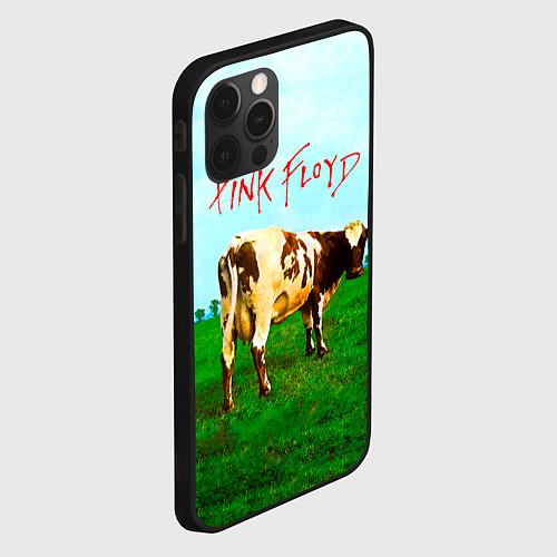 Чехлы iPhone 12 series Pink Floyd