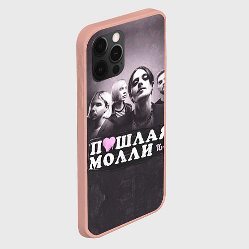 Чехлы iPhone 12 Pro Max Пошлая Молли