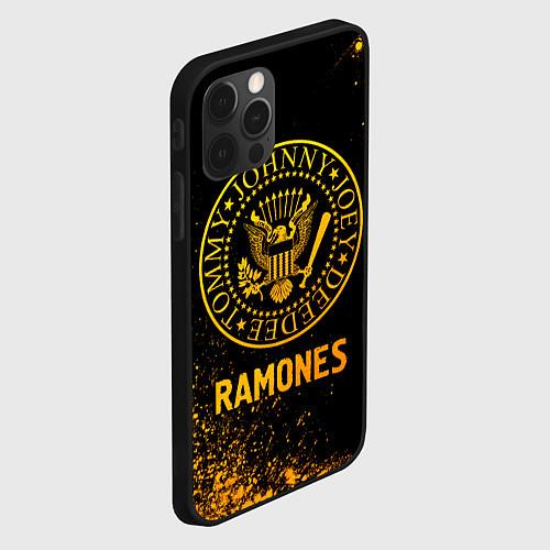 Чехлы iPhone 12 Pro Ramones