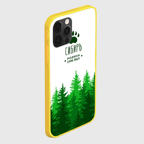 Чехлы iPhone 12 Pro Сибири