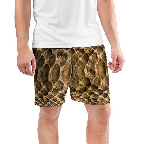 Мужские шорты со змеями