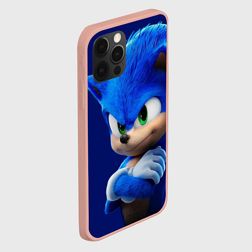 Чехлы iPhone 12 Pro Sonic the Hedgehog