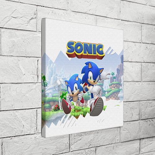 Холсты на стену Sonic the Hedgehog