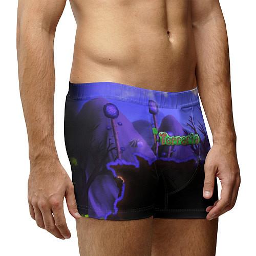 Мужские трусы-боксеры Terraria