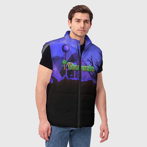 Мужские жилетки Terraria