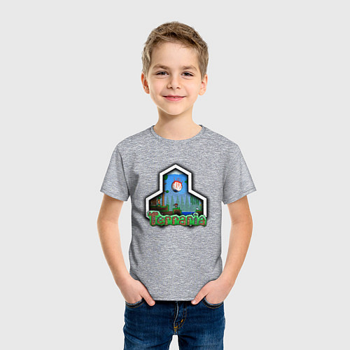 Хлопковые футболки Terraria