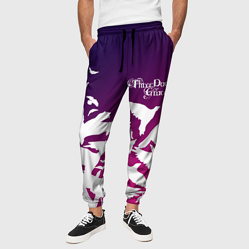 Мужские брюки Three Days Grace