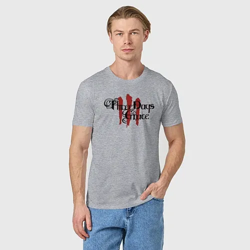 Мужские футболки Three Days Grace