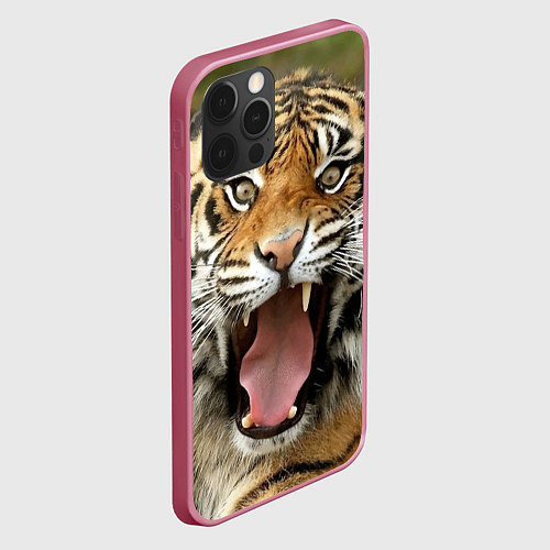 Чехлы iPhone 12 series с тиграми