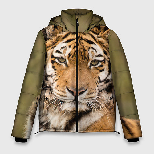 Мужские зимние куртки с тиграми