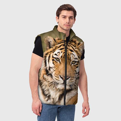 Мужские жилетки с тиграми