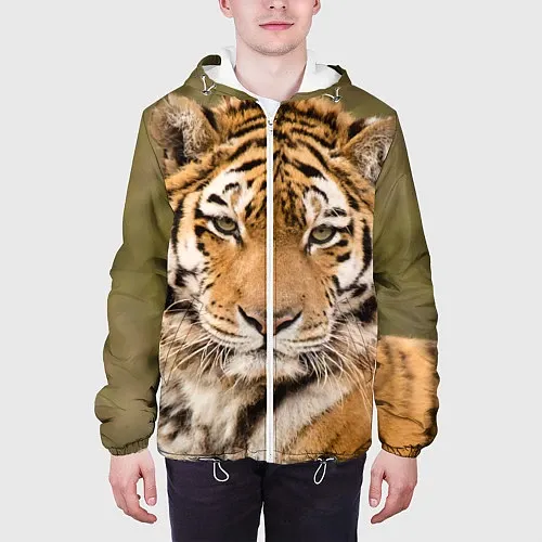Демисезонные куртки с тиграми