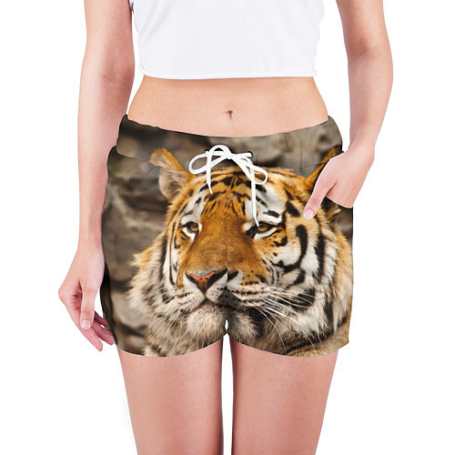 Женские шорты с тиграми