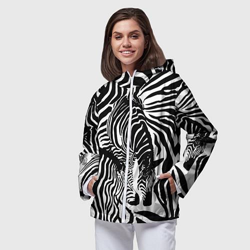 Женские ветровки с зебрами